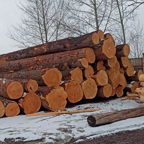 Купить доску из кедра